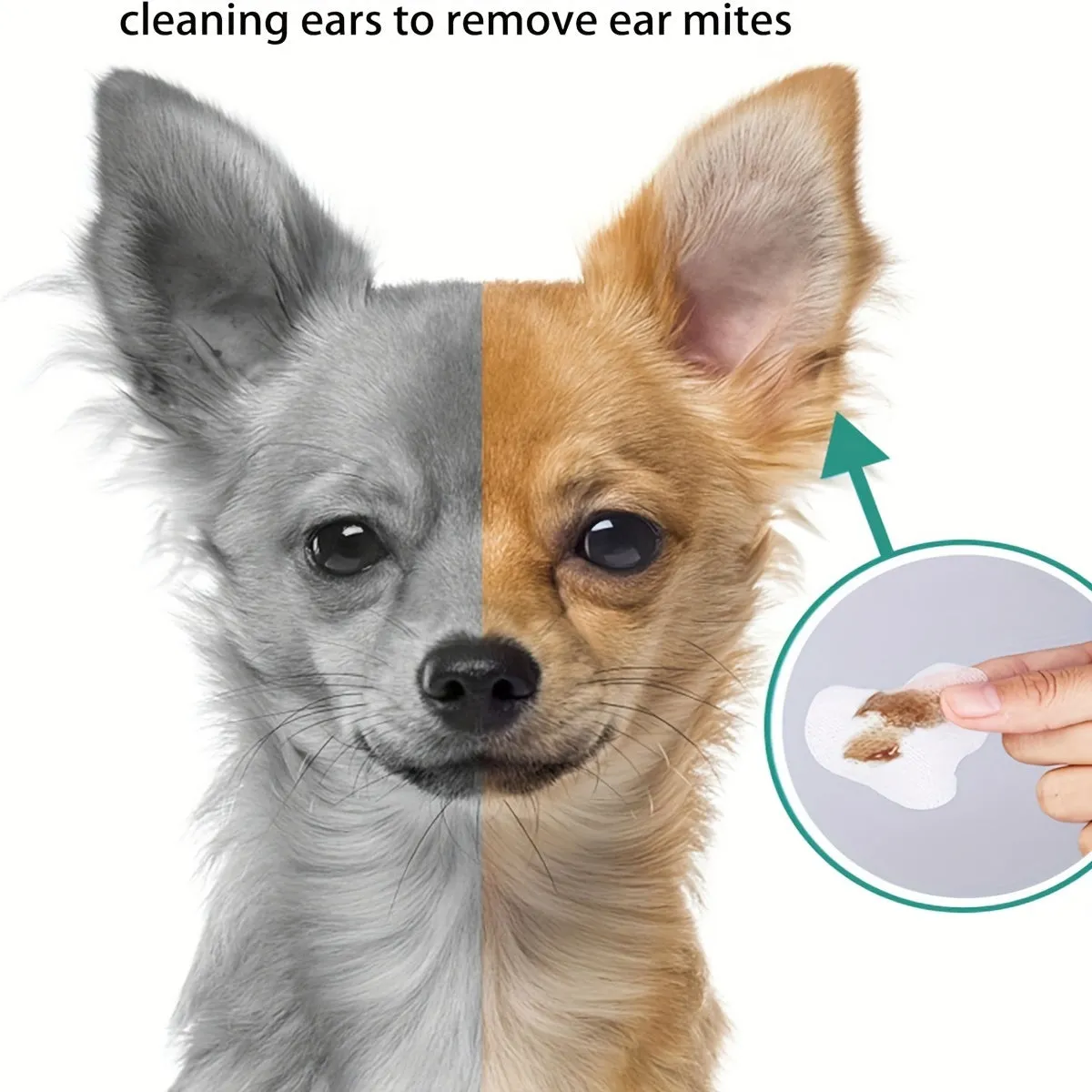 200pcs Pet Eye Cleaning Wipes Gentle Tear Stain Remover for Dogs and Cats