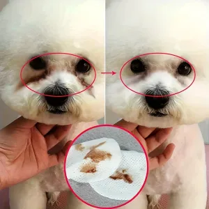 200pcs Pet Eye Cleaning Wipes Gentle Tear Stain Remover for Dogs and Cats