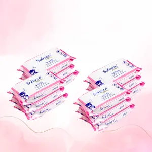 Skin Care Wet Wipes (20 Pcs) Pack of 12