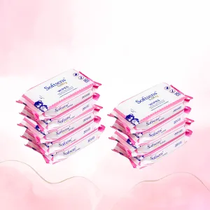 Skin Care Wet Wipes (20 Pcs) Pack of 9